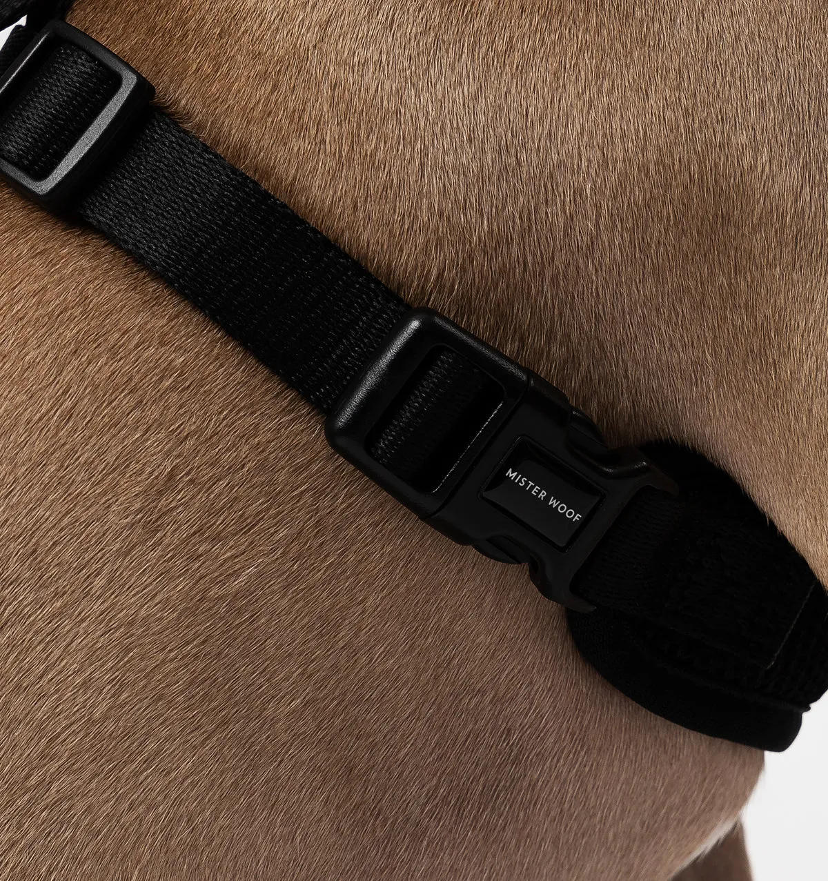 Black Dog Harness