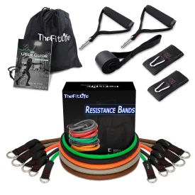 TheFitLife Exercise Resistance Bands with Handles - 5 Fitness Workout Bands Stackable up to 300 lbs, Training Tubes with Large Handles, Ankle Straps, Door Anchor, Carry Bag